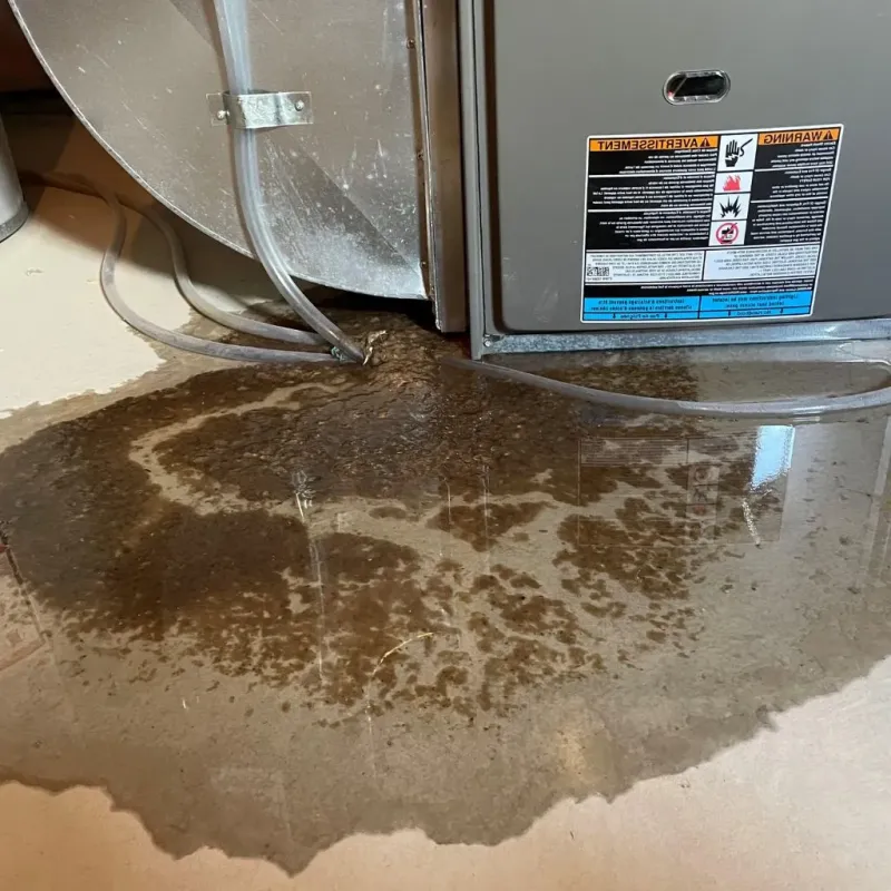 Pipe Burst and Leak Restoration in Danville, OH