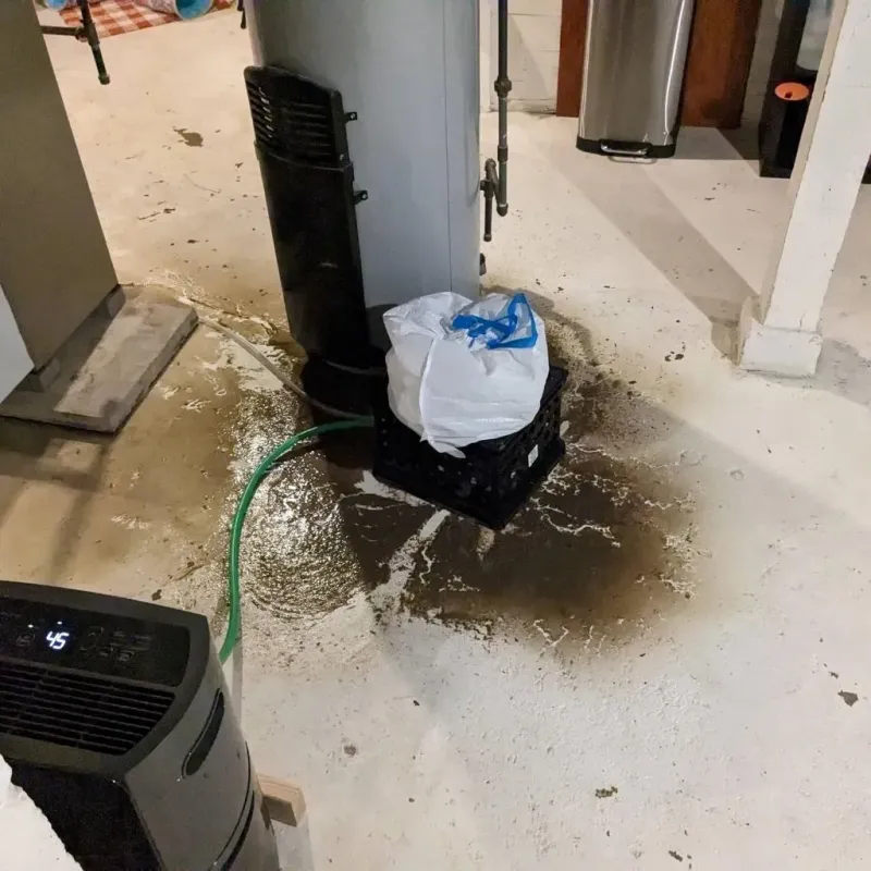 Sewage Backup Cleanup Service in Danville, OH